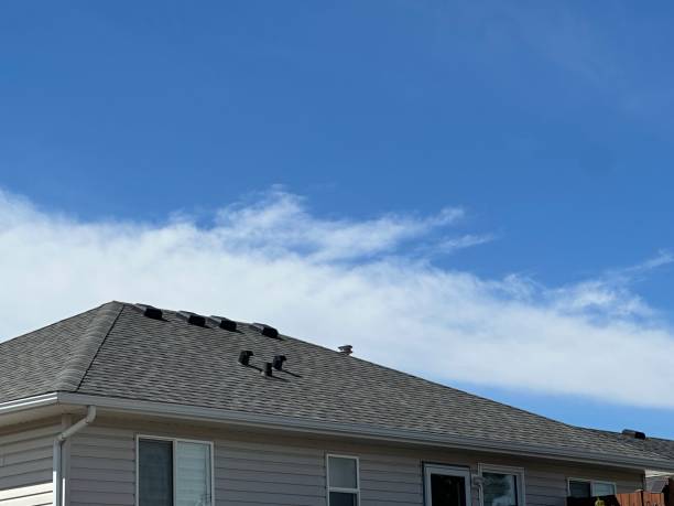 Best Storm Damage Roof Repair  in Mountain Lodge Park, NY